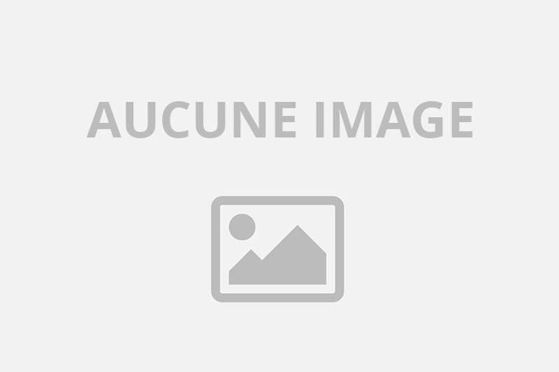 offre des servive adulte